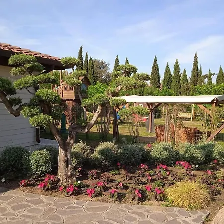 Comfortable Campsite-chalet G16 Tuscany Near Sea Alpehytte