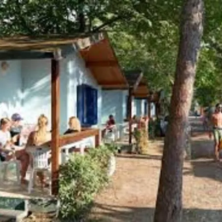 Comfortable Campsite-chalet G16 Tuscany Near Sea Alpehytte *