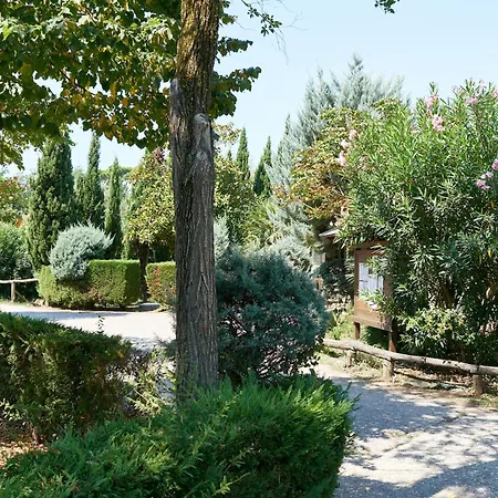 Comfortable Campsite-chalet G16 Tuscany Near Sea Alpehytte *