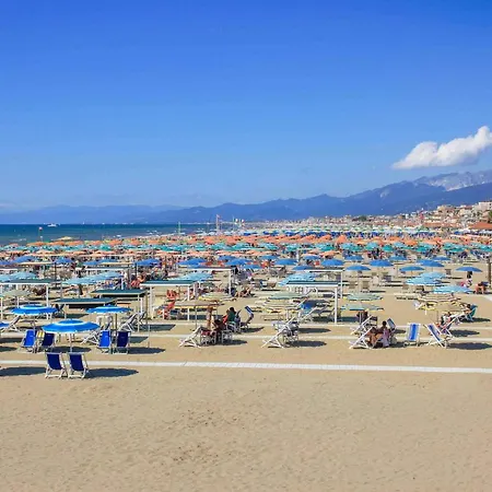 Comfortable Campsite-chalet G16 Tuscany Near Sea 木屋 维亚雷焦