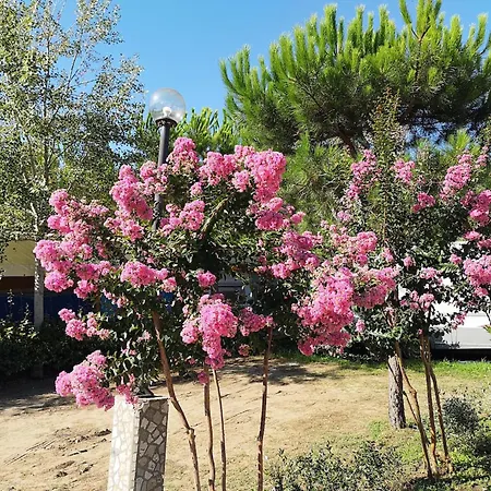 Alpehytte Comfortable Campsite-chalet G16 Tuscany Near Sea *