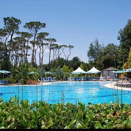 木屋 Comfortable Campsite-chalet G16 Tuscany Near Sea 维亚雷焦